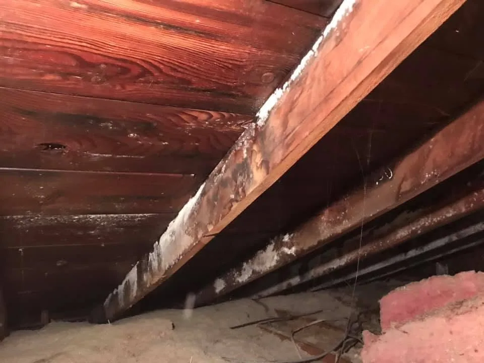 Attic frost rafter roof boards moisture stains