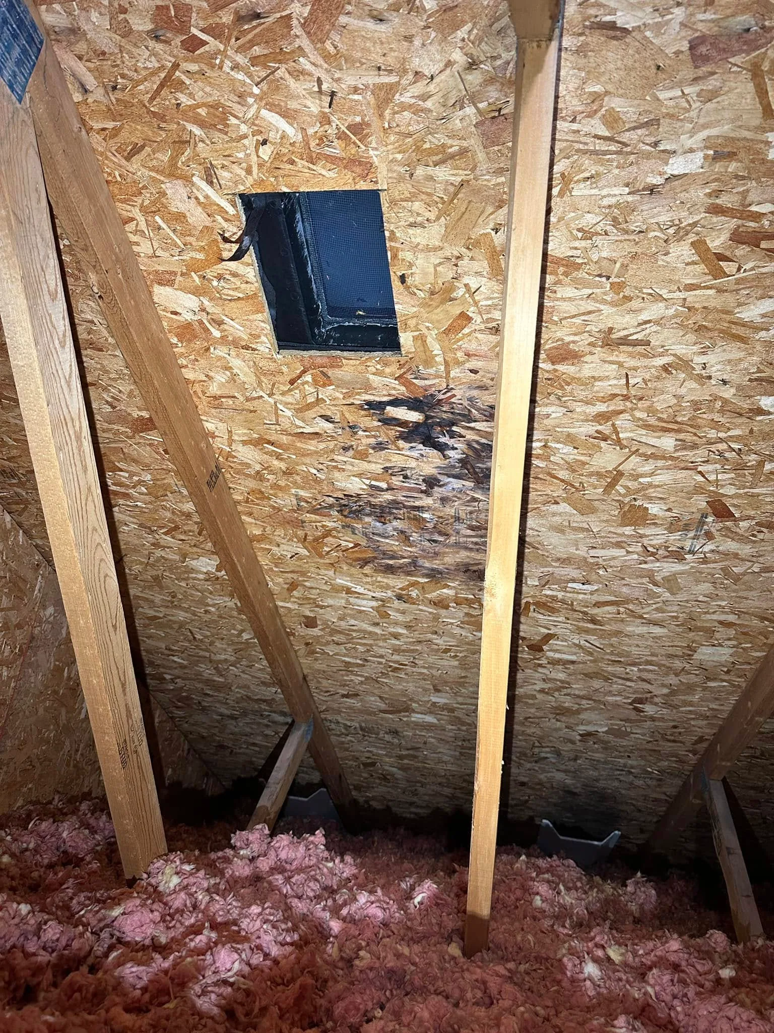 Attic roof vent opening black stain osb pink fiberglass