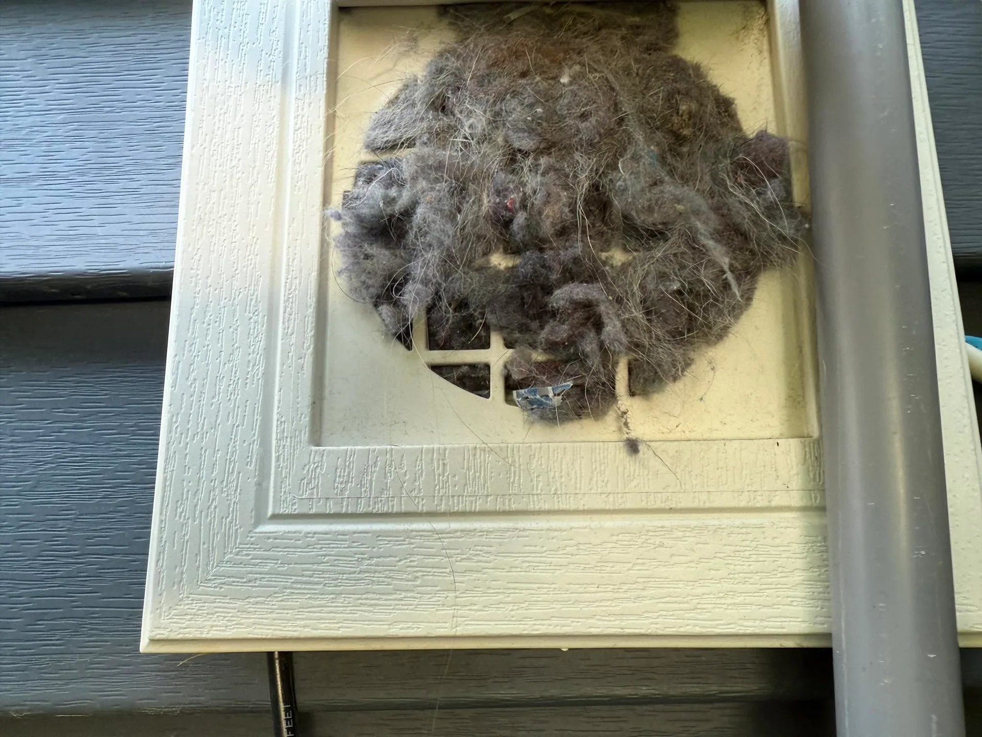 Dryer vent hood lint clogged gray vinyl siding