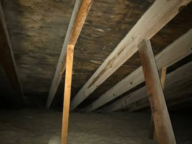Frosted attic rafters stained sheathing blown insulation