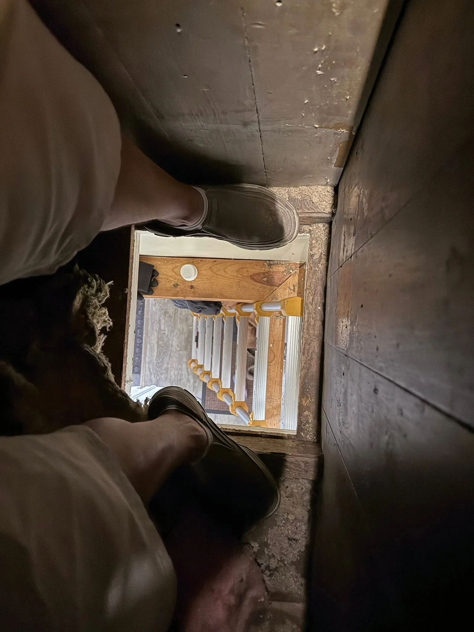 Inspector legs straddling attic hatch folding ladder below