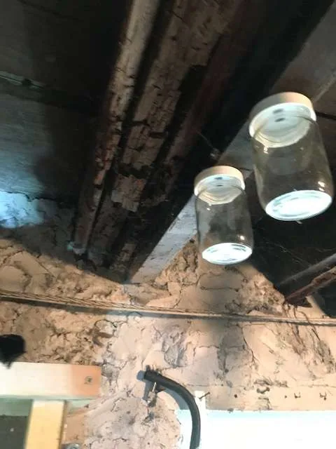 Old basement floor joists mason jar lights rough stone wall