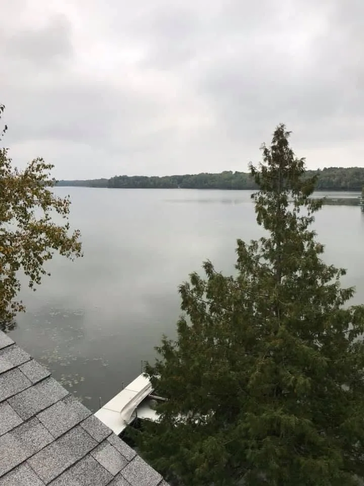 Overcast lake view cedar tree roof edge