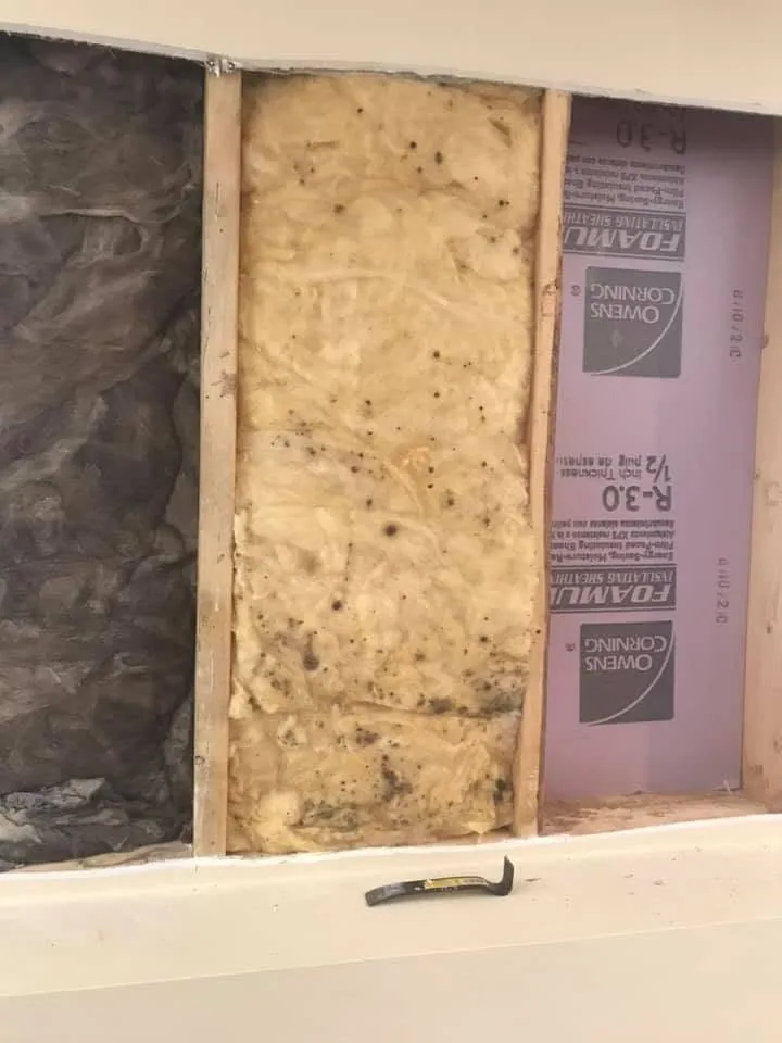 Owens corning foamular pink xps moldy fiberglass wall cavity