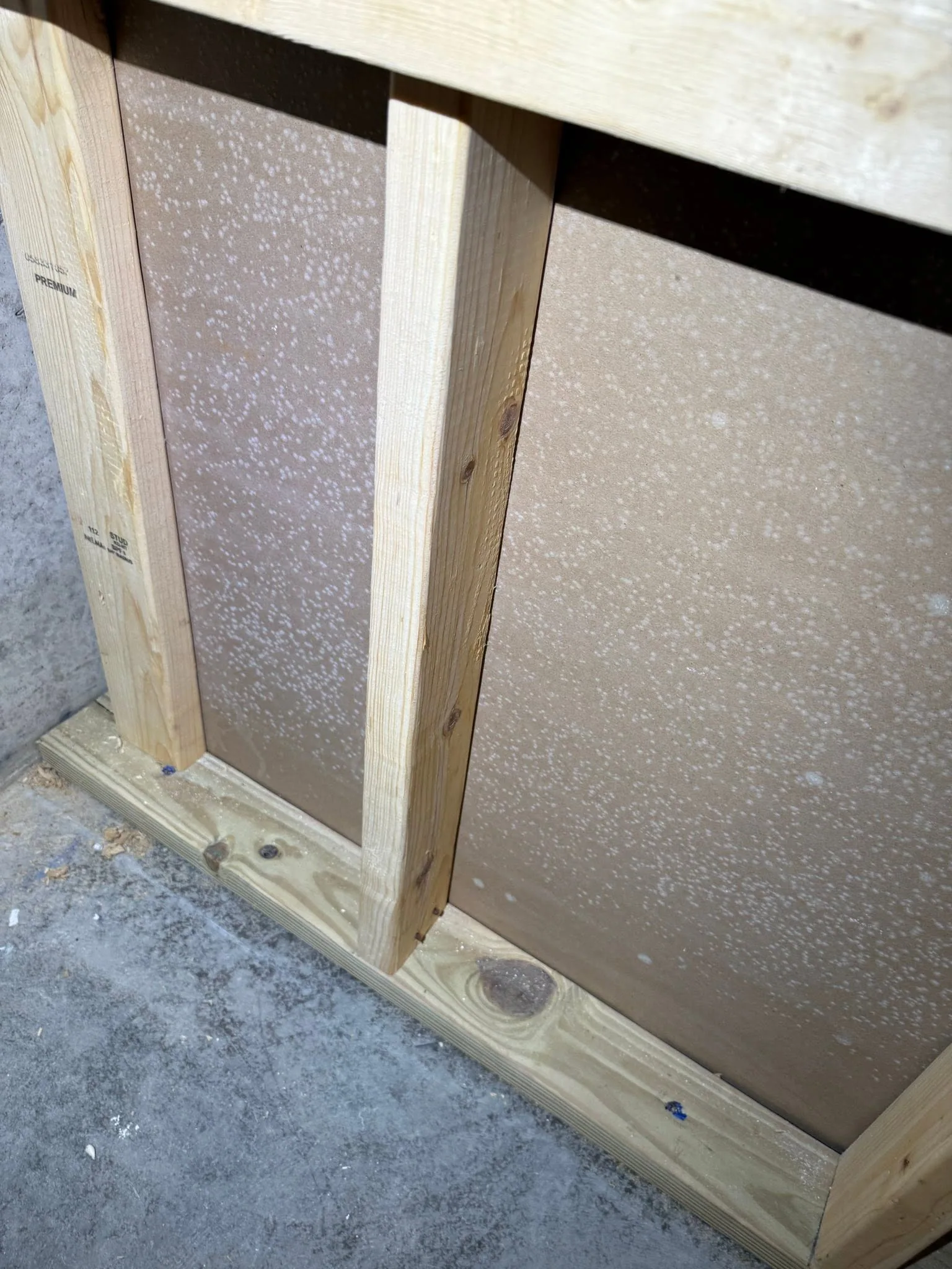 White speckled drywall paper behind new wall studs concrete slab